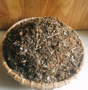 muoi-thao-duoc-ngam-chan2