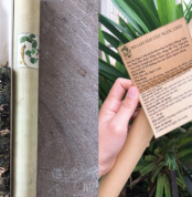 tra-lam-tay-nguyen-1