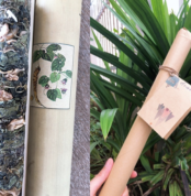 tra-lam-tay-nguyen-2